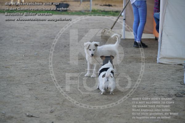 s_K3F01920.jpg